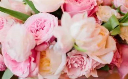 2026年10月31日搬家黄历查询 2026年10月31日搬家黄历查询