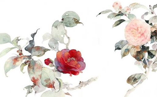 2026年11月06日出行黄历查询 2026年11月06日出行黄历查询