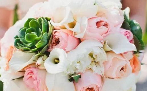 天蝎座_天蝎座之夜3免费完整版