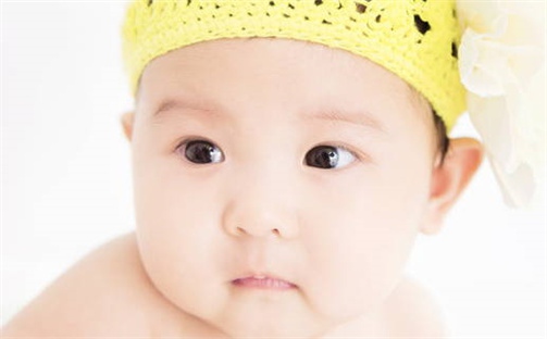 董姓女孩子取名