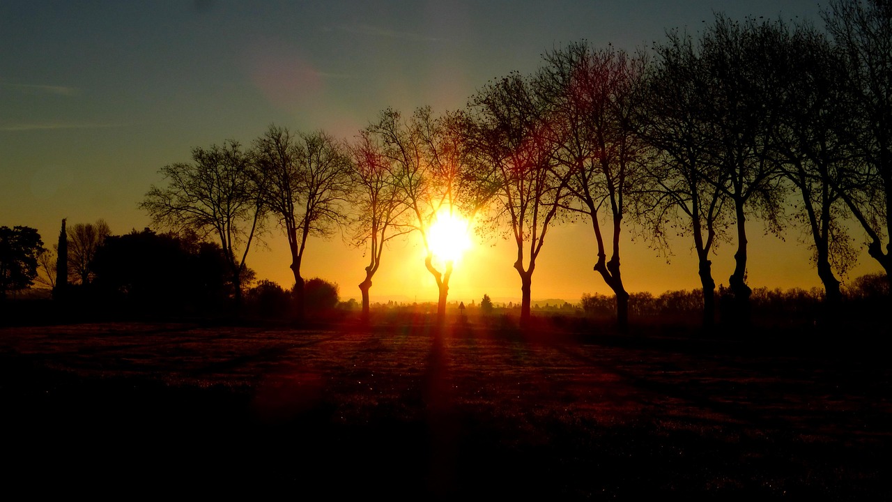 78天全国公路“真空”——一场关于流动的特别馈赠，以及生活暂停与重启的隐喻