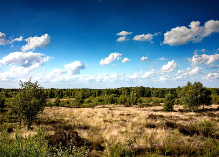 保定疫情最新情况,保定疫情最新情况今日新增 🕒