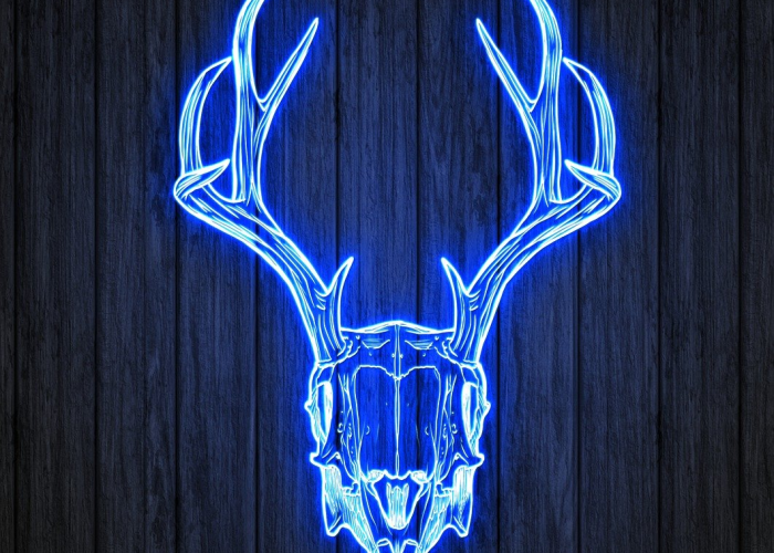 广西艾滋病 → 广西艾滋病感染人数