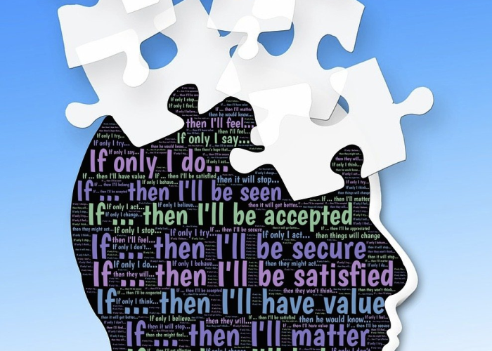 18万份样本背后的守望：陕西防疫网络如何织就一条看不见的生命防线