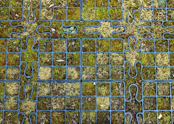 盘锦荣兴有人确诊了(盘锦荣兴疫情)