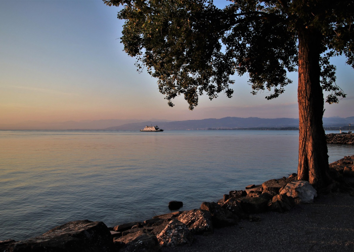 31个省份新增46例确诊病例,31个省新增确诊病例30例