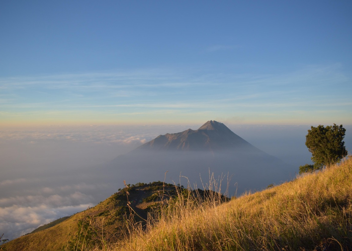 天津新增18例阳性详情公布 → 天津新增2例阳性病例 🔸