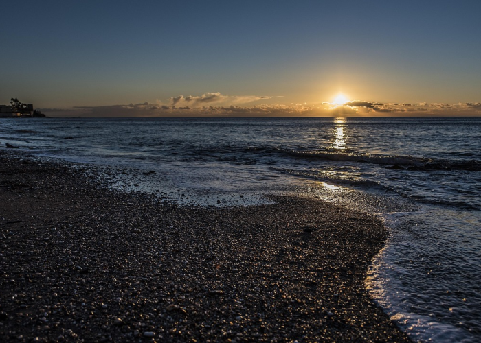 新型冠状病毒死亡病例最新消息(新型冠状病毒死亡病例)