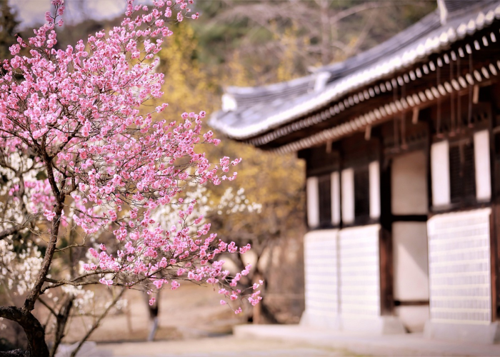 【吨组词,吨组词四字】