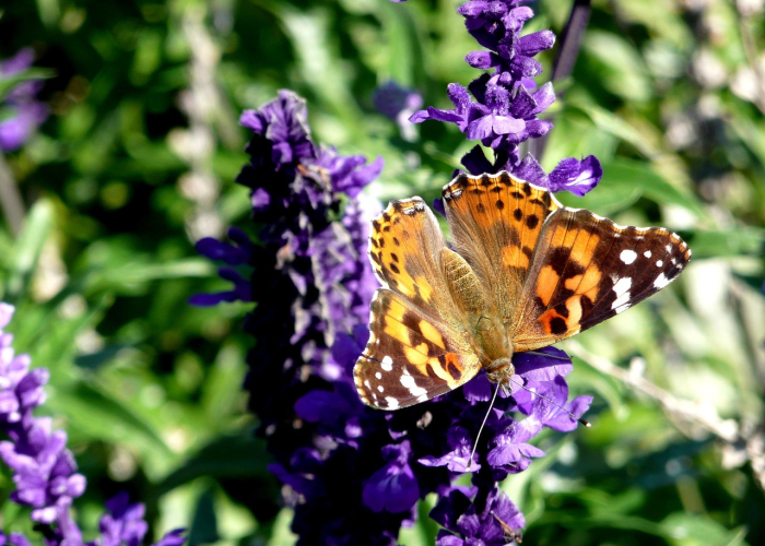 杭州4天确诊59人,杭州出现病例