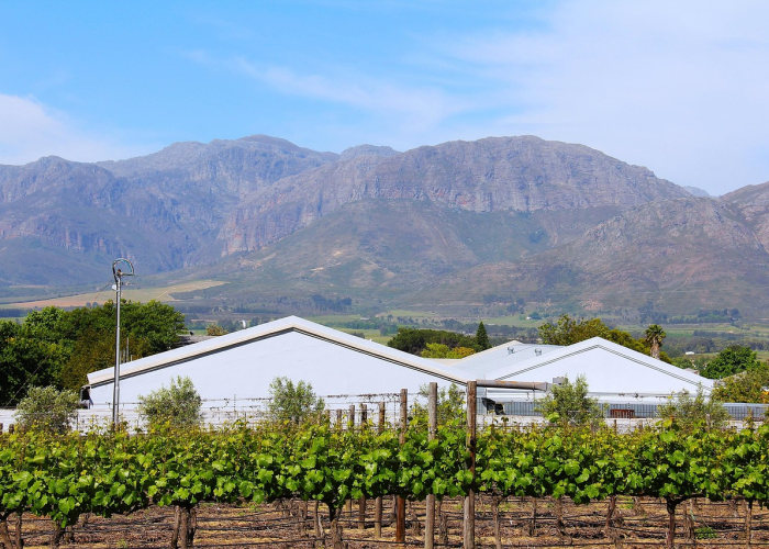 06098.HK(碧桂园服务)