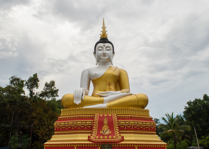 顺义区突发聚集性疫情›顺义区疑似