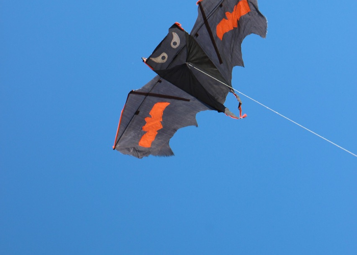 北京丰台区新增3个高风险区 → 北京丰台区目前属于高风险区吗