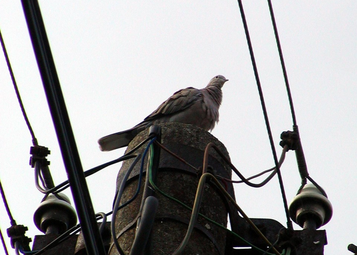 【ipad数据线不能充电,ipad数据线无法充电】