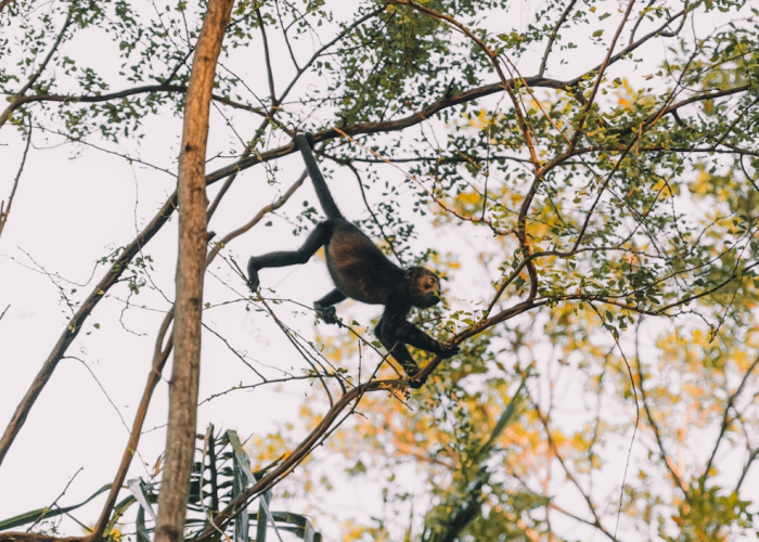 贵阳疫情最新消息,贵阳疫情最新通报 贵阳疫情最新消息,贵阳疫情最新通报