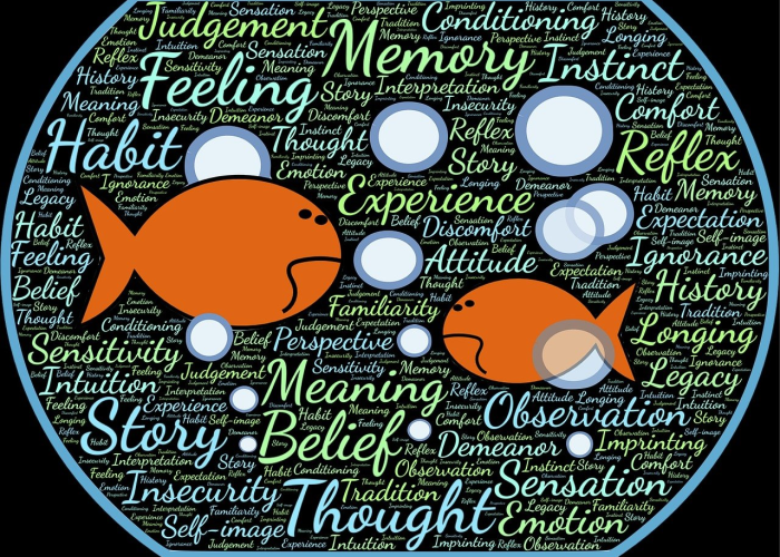 【第一届华人星光大道,华人星光大道第二季冠军】