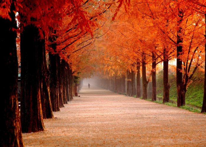 河南全省疫情最新消息,河南全省疫情最新情况 ⤵️