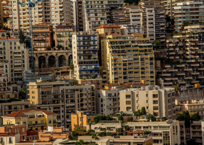 上海增41例本土确诊上海 新增 本土