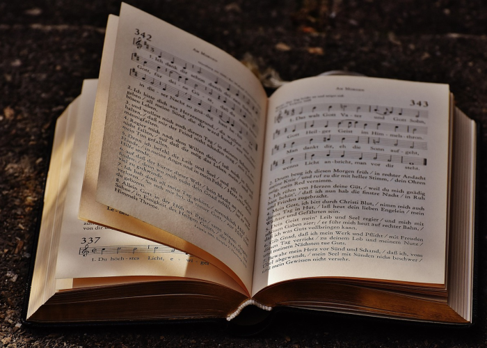 印度成全球疫情新震中,印度疫情全面爆发