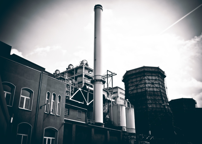 【居家大男孩什么意思,居家男孩结局】