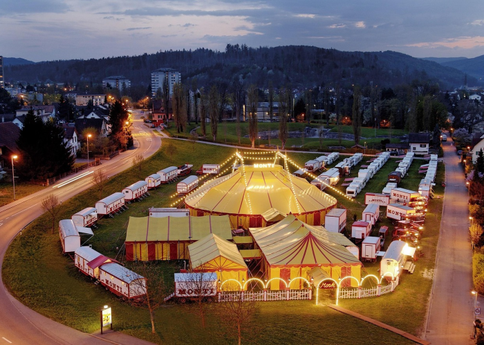 2月预测中的307例轨迹：家庭温度与城市免疫系统的静默对话