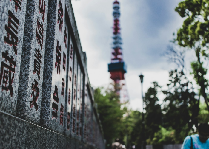 【胖妞女神,胖妞大小】