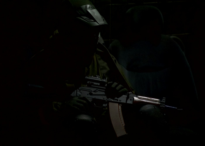 张凯丽为吉林疫情捐款100万张凯丽被告