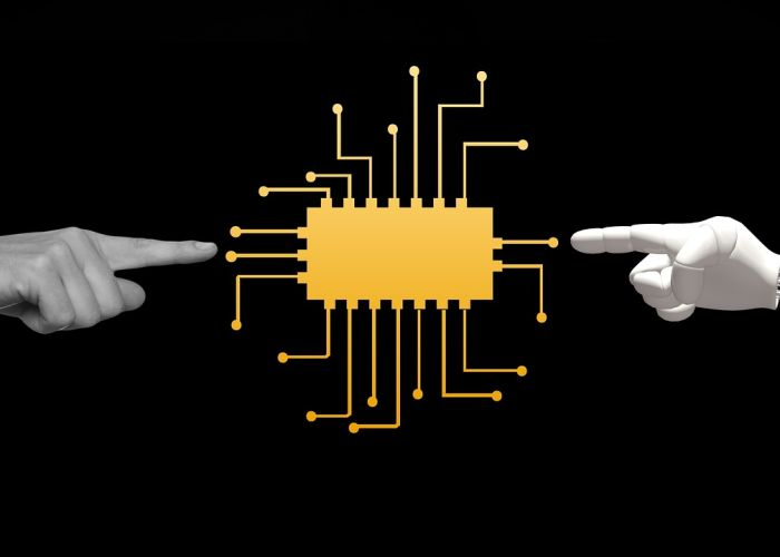 上海几个区是中风险(上海9个区域划为中风险区)