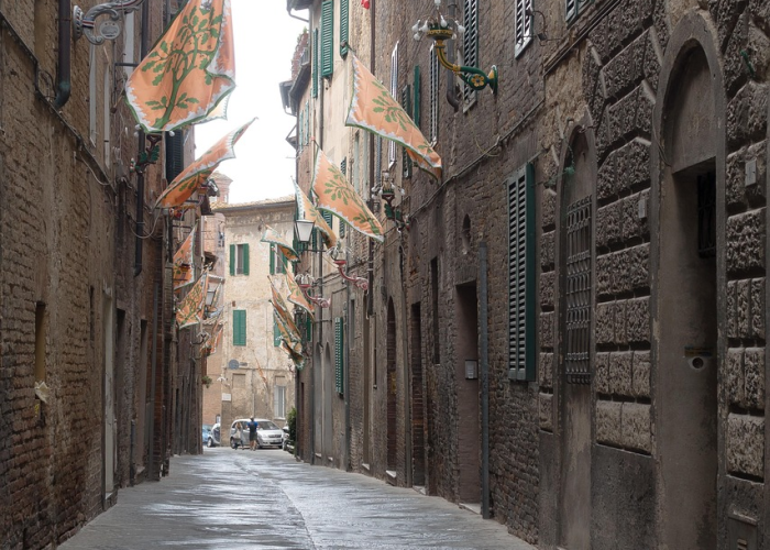 ↘️ 白宫：特朗普将于今晚7点推出TrumpRx网站