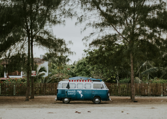 31个省新增（31省份新增3561例—）