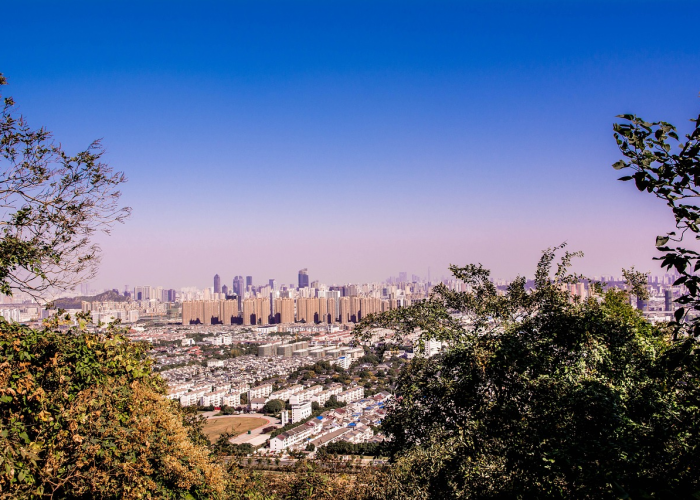 2月1日，星期二：一个民族的情感坐标与千年节日的现代脉动