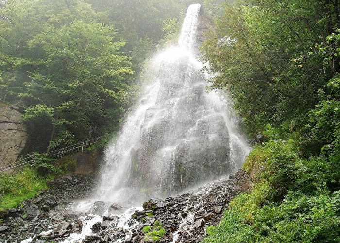 大连疫情最新消息今天封城了,大连疫情最新情况!疫情已扩至5地9城市 ↕️