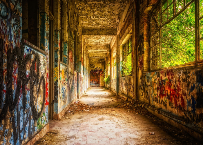 【独具匠心是什么意思,独具匠心下一句是什么】