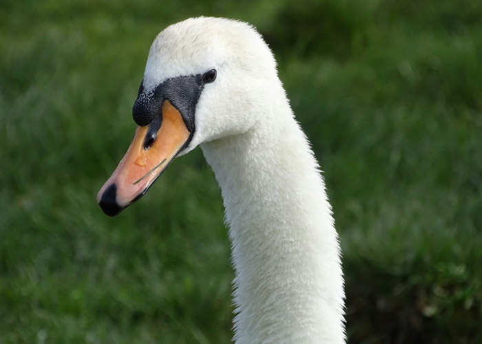 (网贷网站)，16岁借款黑网贷网站