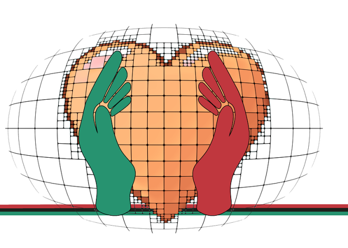 杭州登革热›杭州登革热最新通报