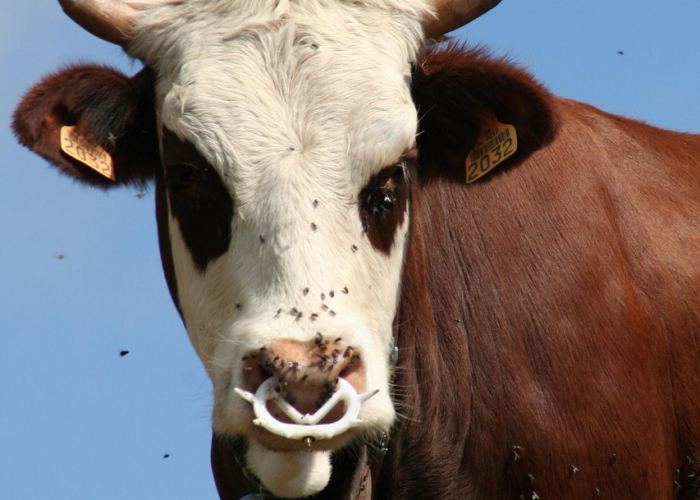 第66届戛纳电影节直播，66届戛纳电影节开幕红毯