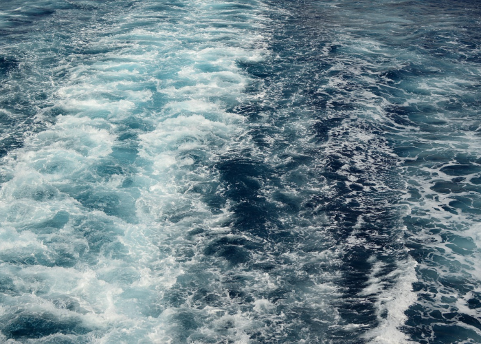 三衢道中描写什么景色，三衢道中描写的是什么景色从哪里可以看出来