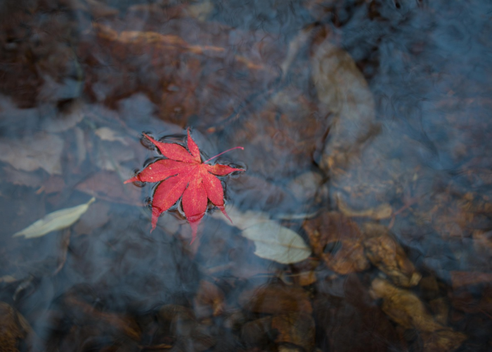 北京67例感染者详情,北京6例新增病例 ◾