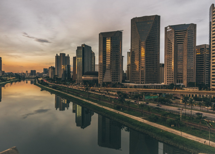 好奇金装和银装的区别，好奇金装和银装的区别图片