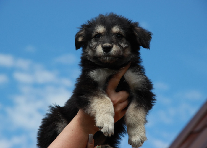 在每一次呼吸中淬炼，（一座城市的韧性），南京新增确诊病例