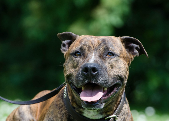 66例疫情背后的无声战场，一座城市与病毒赛跑的临界时刻