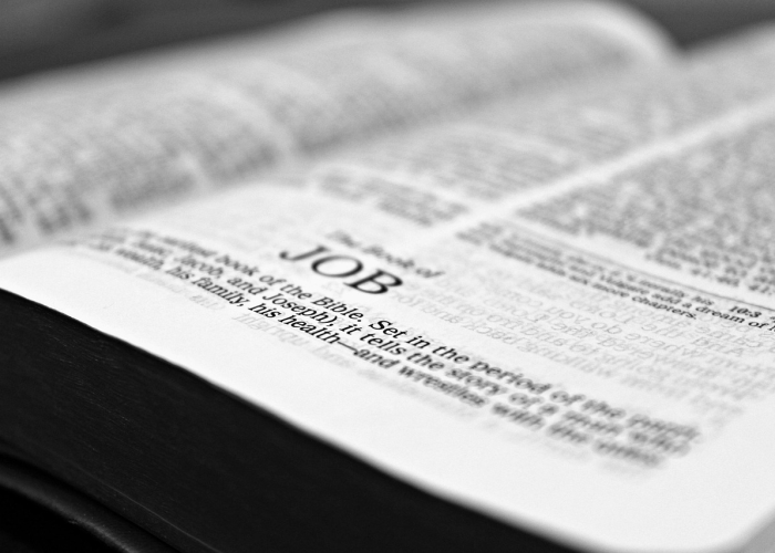 成都伊藤，成都伊藤有几家店