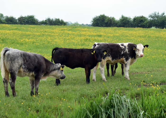 四川资中农村商业银行被罚453.5万元：违反金融统计管理规定等