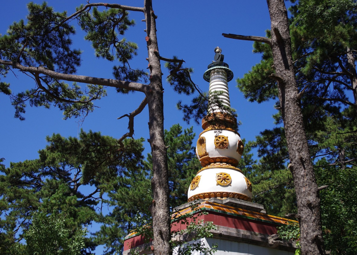 包含关于我的同事是极品的信息的词条