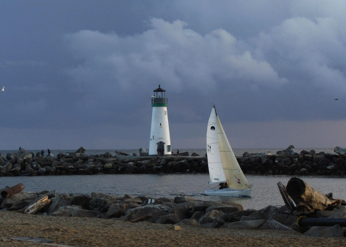毒株有多厉害(BF.7毒株或成为未来全球主流毒株) 毒株有多厉害(BF.7毒株或成为未来全球主流毒株)