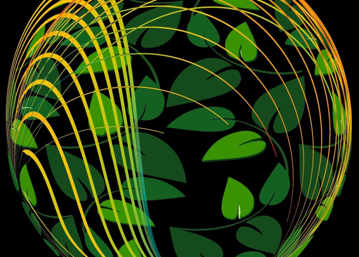 【公积金贷款放宽,公积金贷款放款到哪个账户】