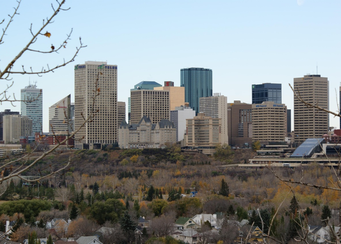 北仑26例确诊与86万次核酸：疫情迷雾中的生命轨迹，如精密织布般的社会免疫网络