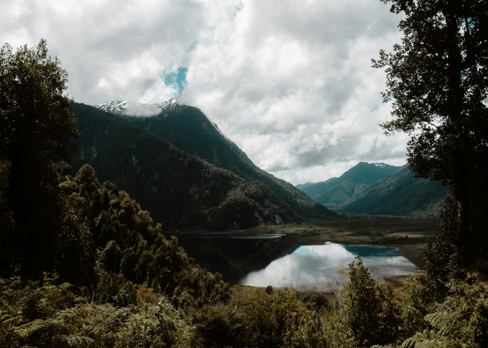 1例复阳与13名密接：疫情下的生命航道，无声的微光航行