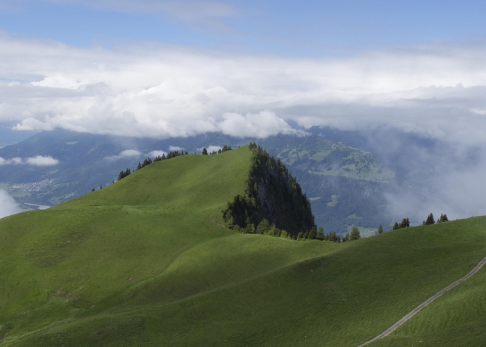 广安疫情12天破千例：生命堤坝的十日修葺，一座省界城市的韧性样本