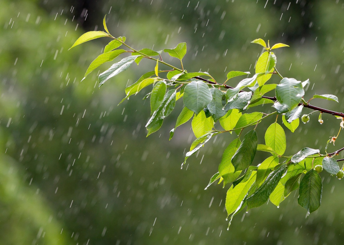 北京9天增205例›北京连续9天零新增疫情